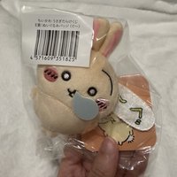 睡覺兔