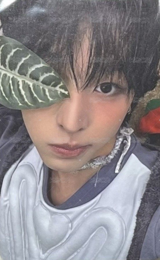 Color k4 預售 特典卡  正面