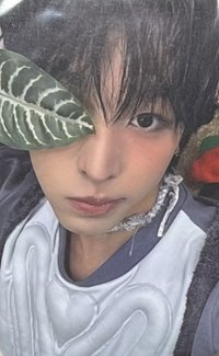 Color k4 預售 特典卡 