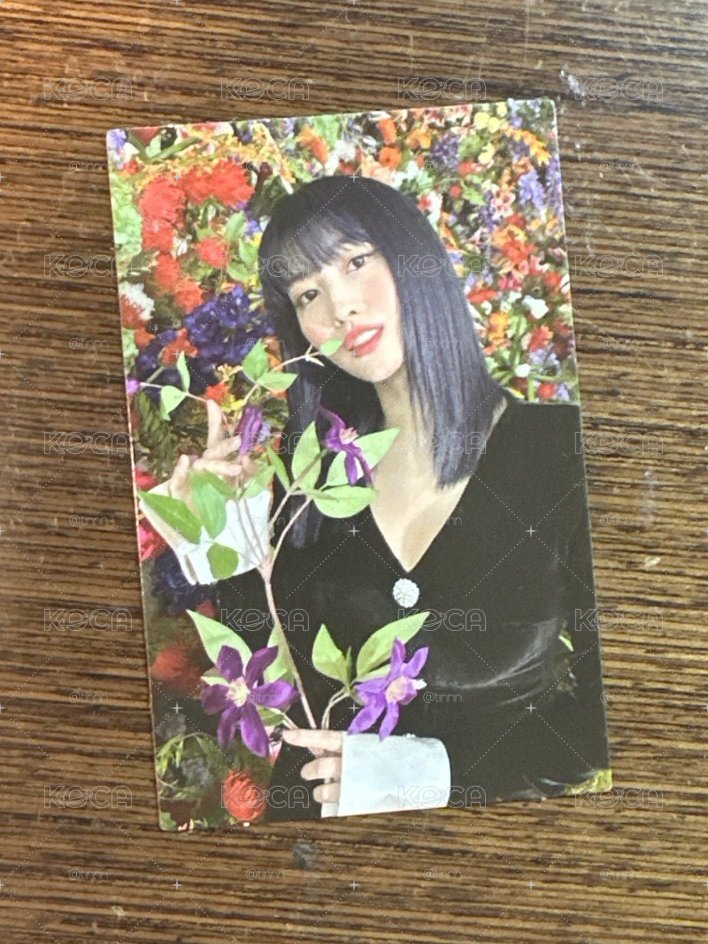 Momo  正規2 專卡