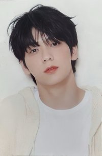 Summer Together 隨機卡 