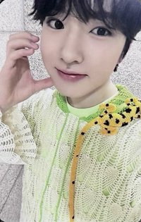 Songbird knpops 幸運卡 