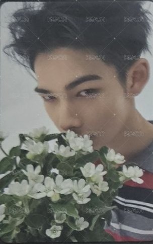 宵 -YOI- 日咖 特典卡  正面