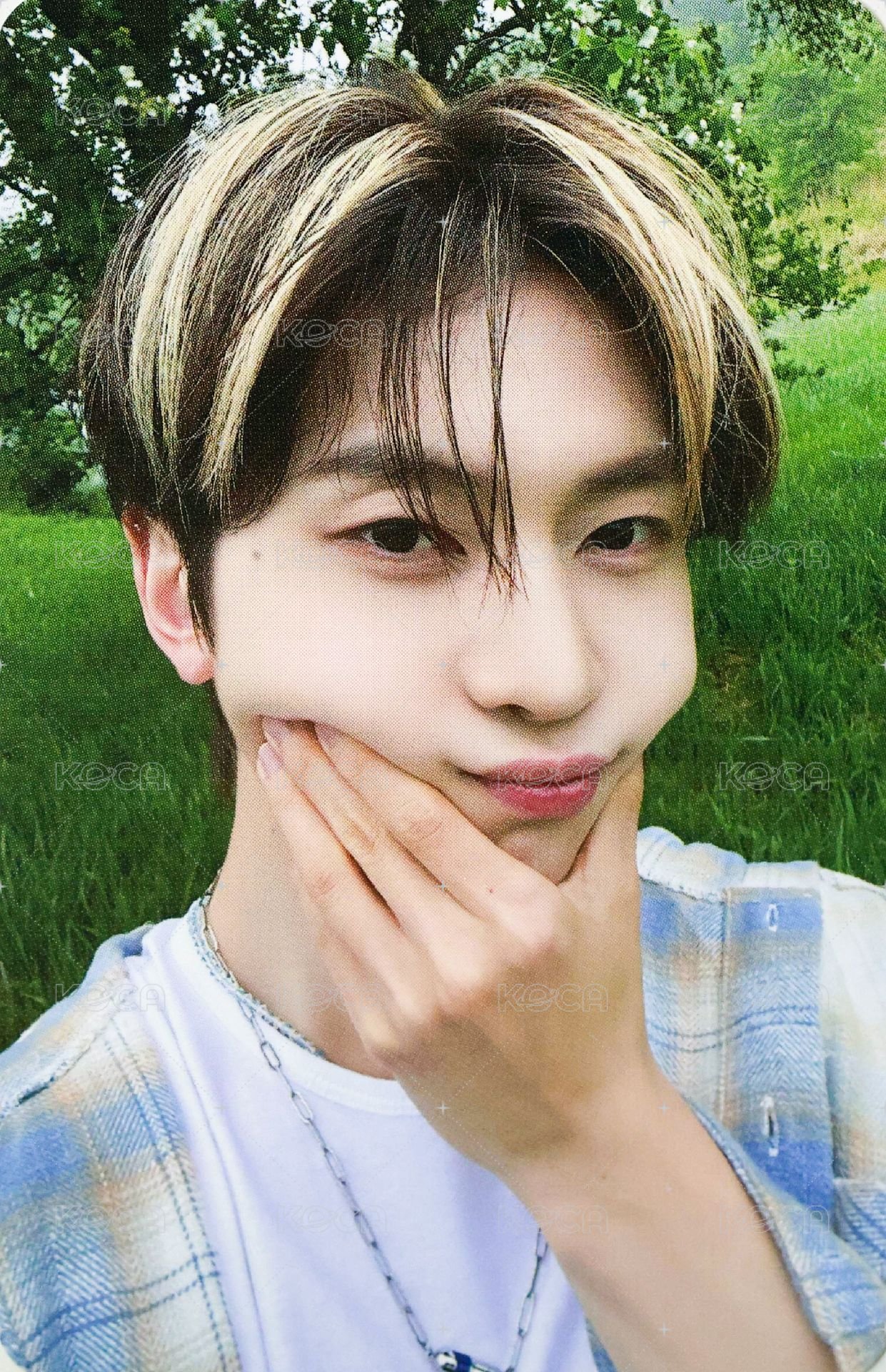 正規一 wm 特典卡 鼓臉 ver. 正面