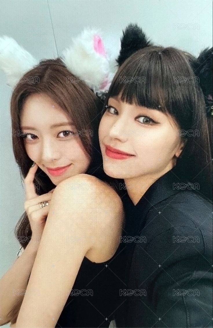 CHESHIRE 專輯卡 雙人卡 正面