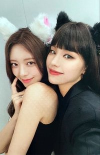 CHESHIRE 專輯卡 雙人卡