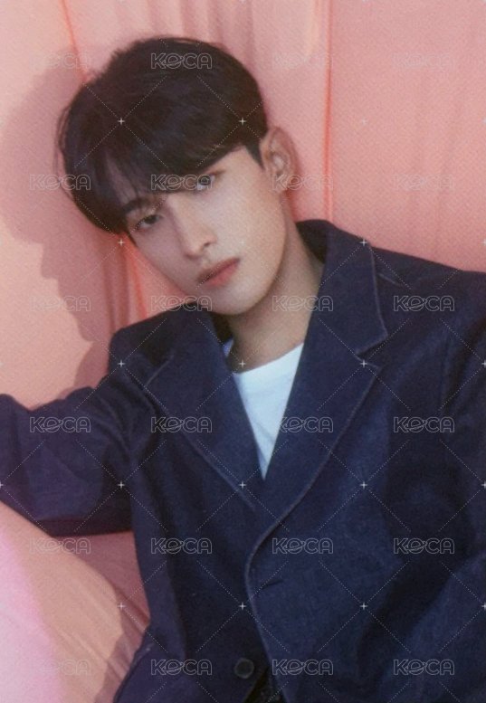 23’博物館 周邊卡 大卡組 正面