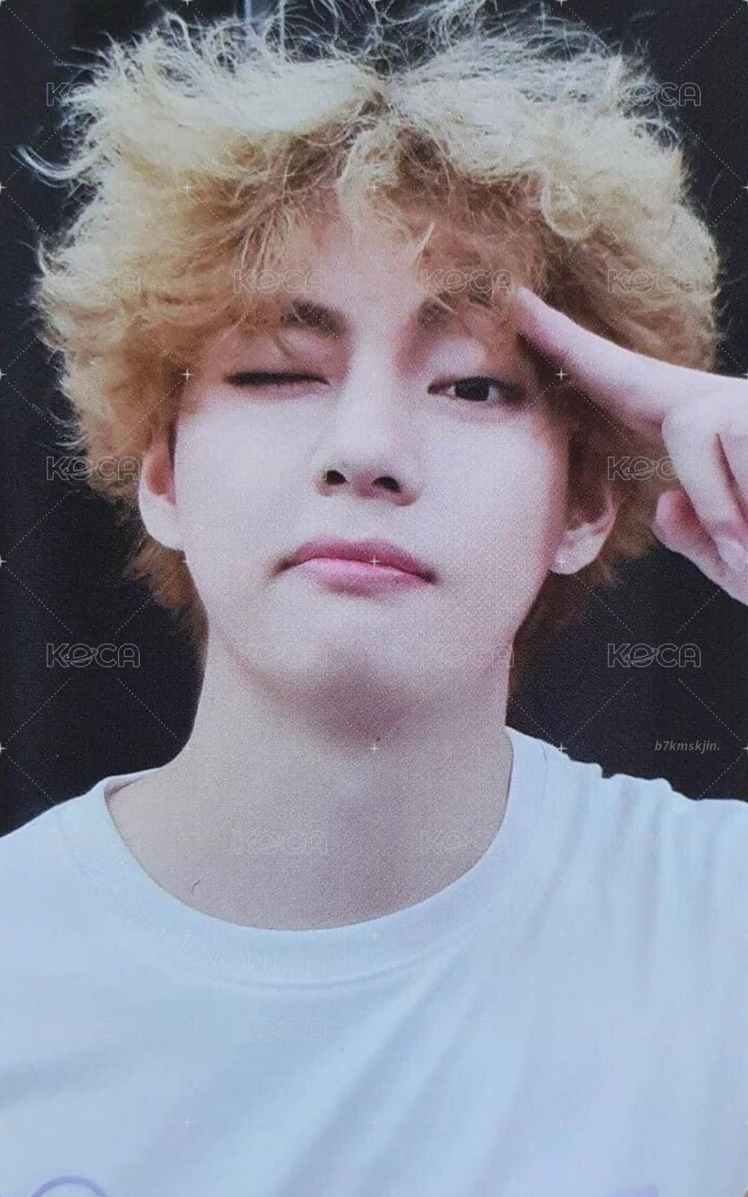 小宇宙 演唱會 DVD / CD 卡 一般/數位版 隨機 正面