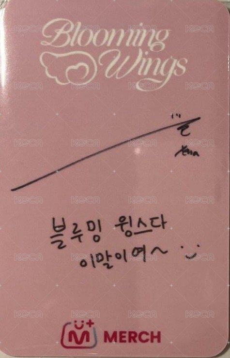 迷四 mnet 特典卡 簽專 背面