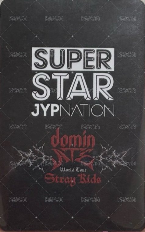 SUPERSTAR 遊戲卡 <dominATE JAPAN> STADIUM 背面