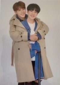 HARU 隨機卡 卡包卡80