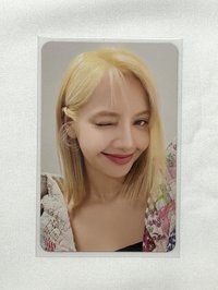 眨眼莎