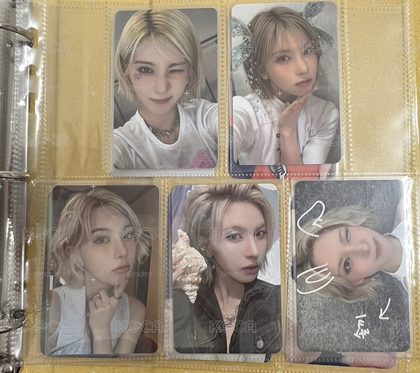 裴盤