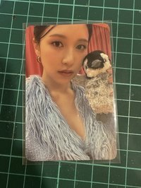 企鵝mina