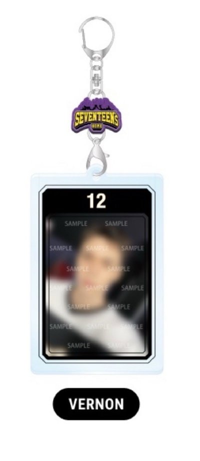 SVT 25home Vernon Dino卡套