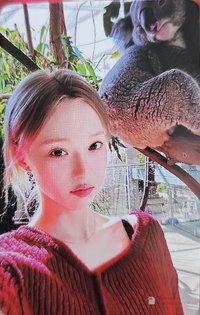 Whiplash QQ音樂 星光卡 四星冬