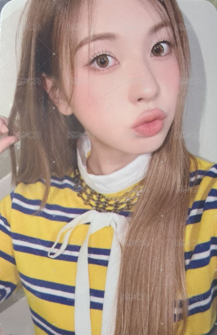 expérgo mmt 預售 特典卡 裴 正面