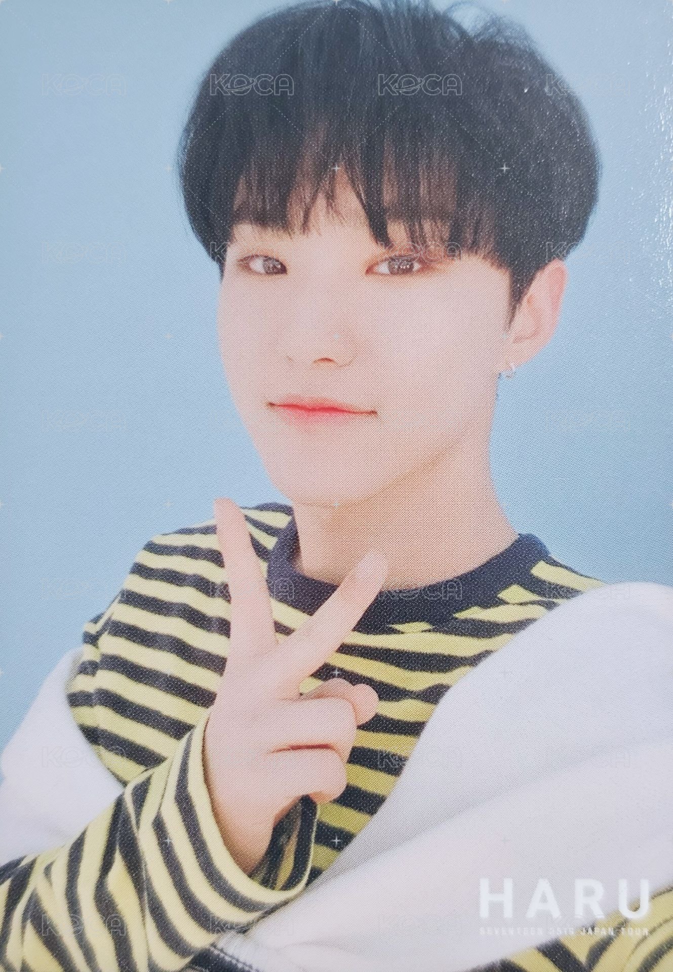 HARU 隨機卡  正面
