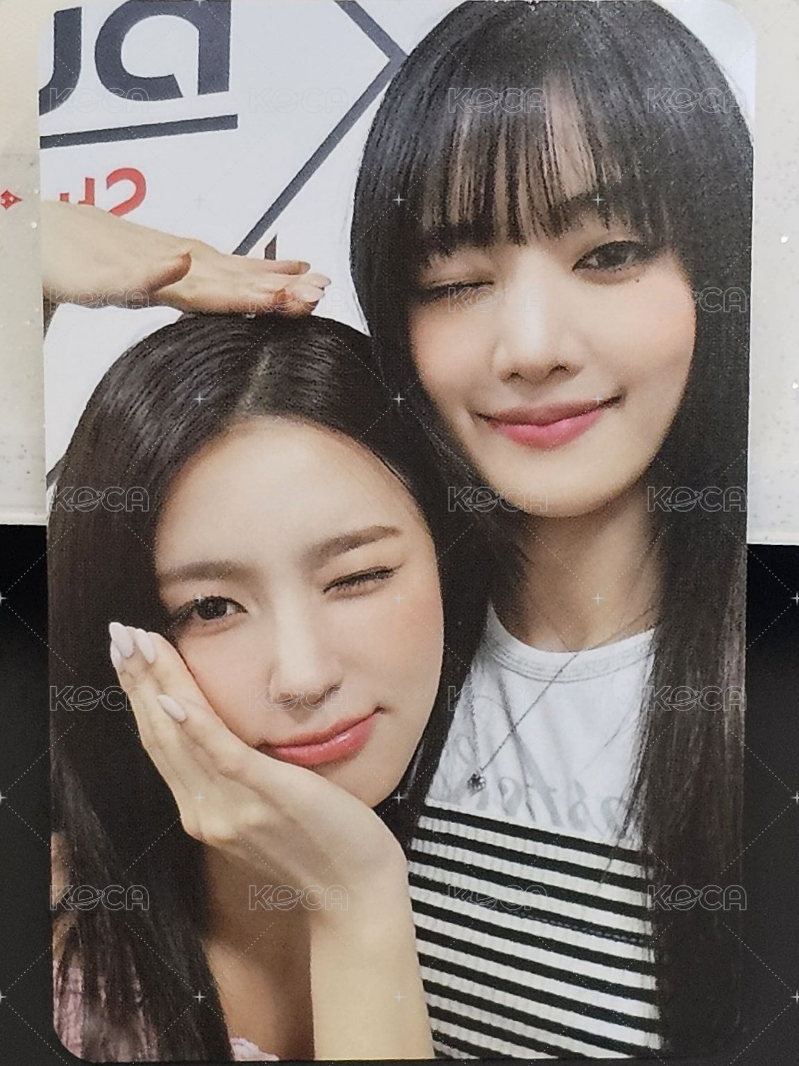 24’演唱會 iDOL 周邊卡 卡冊雙人卡 正面