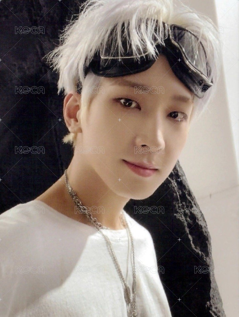 正四 專輯卡 正規四｜Ep5 ver. 正面