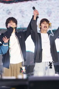 貓貓的電腦鍵盤