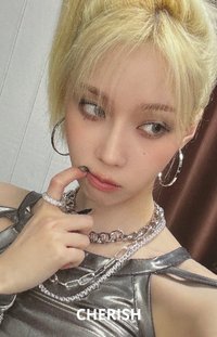 正規一 wm 特典卡 預售冬