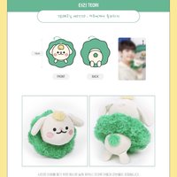 CCREW 娃娃玩偶 TEORI