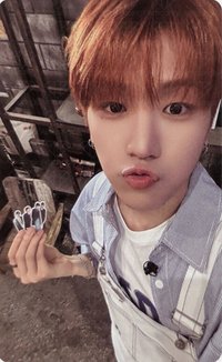 19.99 wvs 直播卡 Clink ver. 2