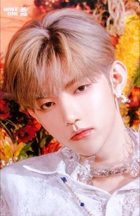 日專 塔店 特典卡 官拍