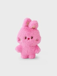 LINE FRIENDS快閃 S娃 bunini