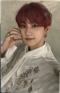 定めSADAME 全通路 單封 專輯卡 