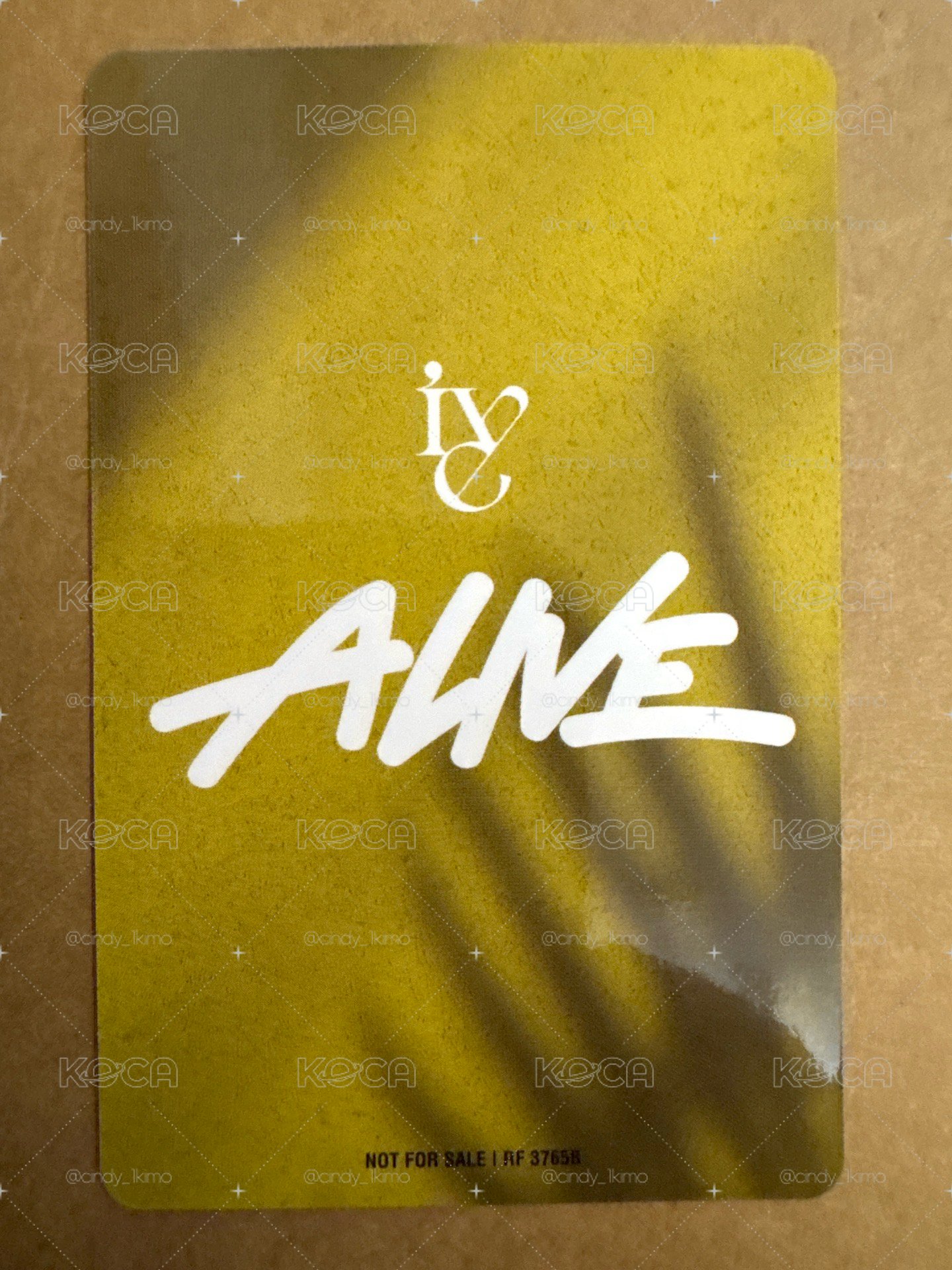 ALIVE 專輯卡 寶可夢秋