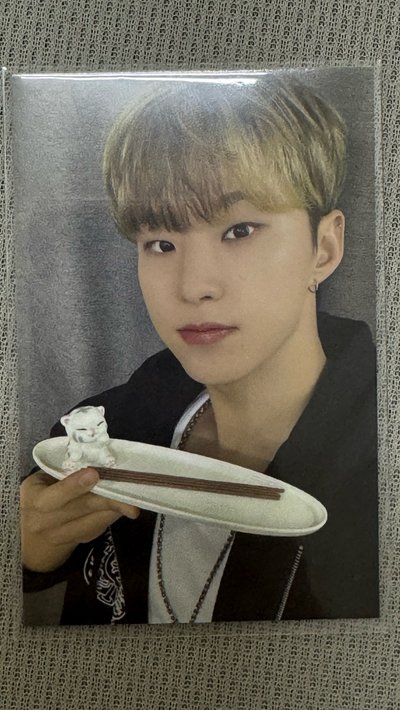 hoshi 成員自製 眈眈小卡