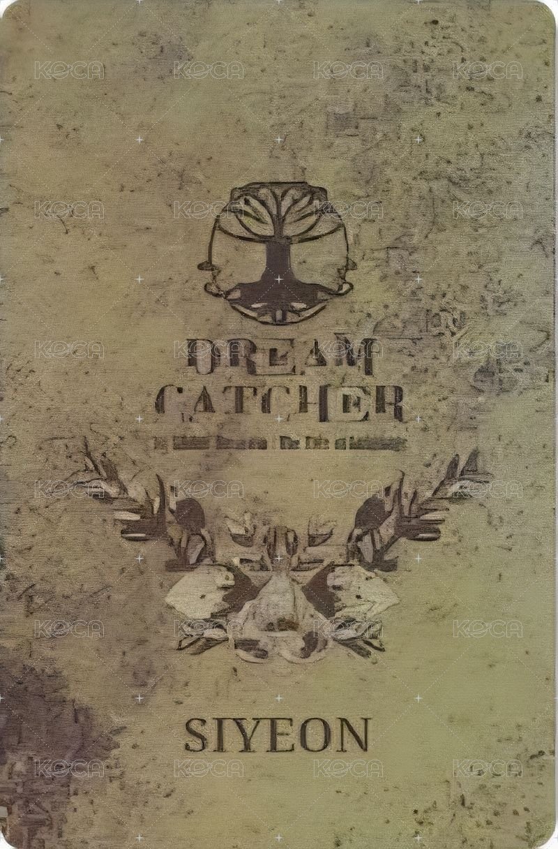 正規一輯 專輯卡  背面