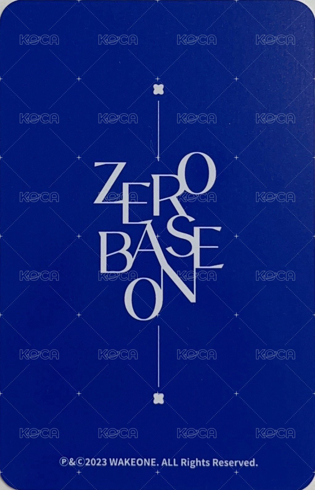 大邱快閃 周邊卡  背面