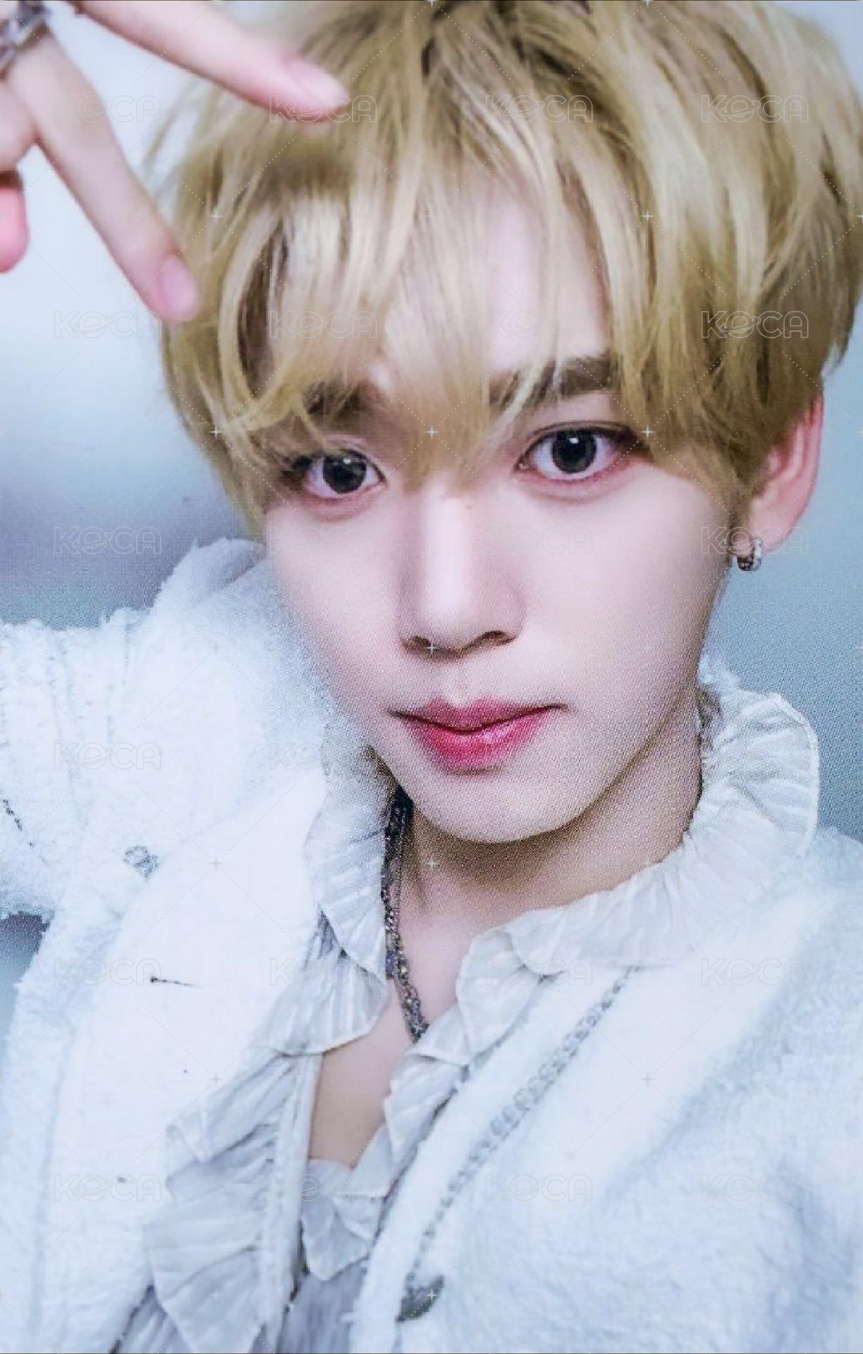 迷四 sw 簽售卡 貓耳 ver. 正面