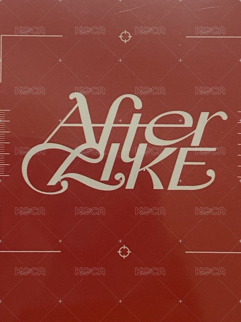 After LIKE am 簽售卡 怜 背面