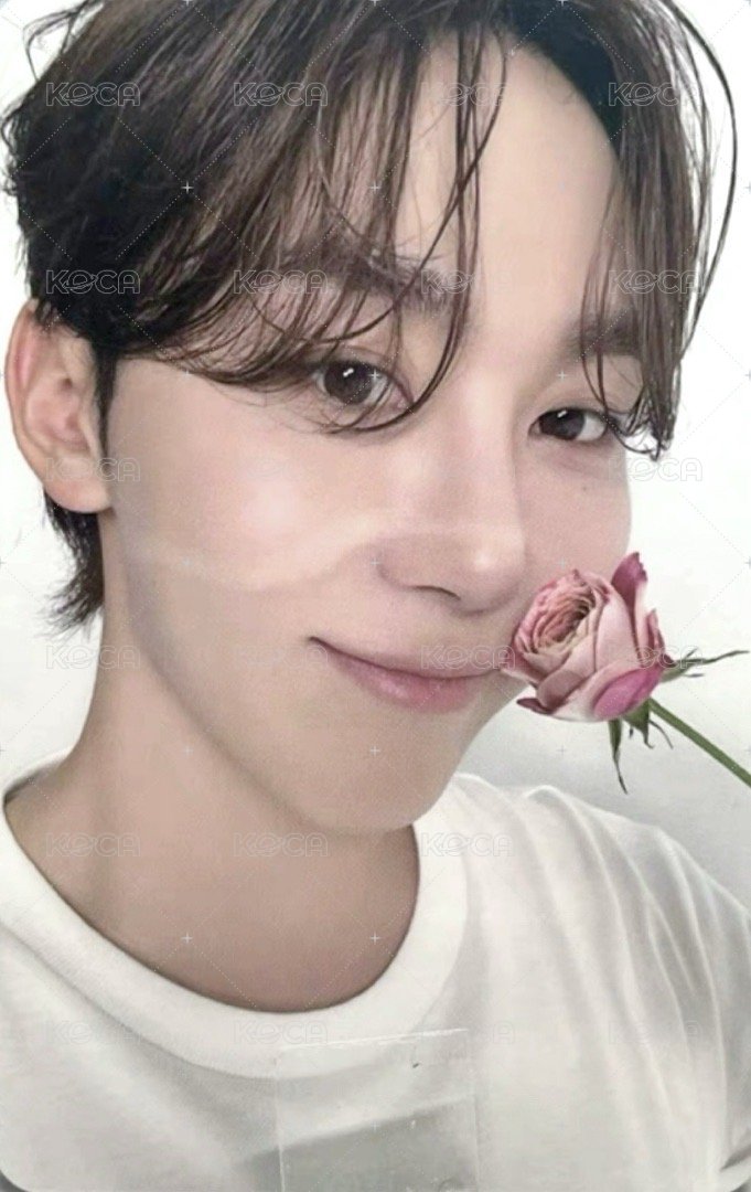 精選專 專輯卡 精選輯｜CARAT ver. 正面