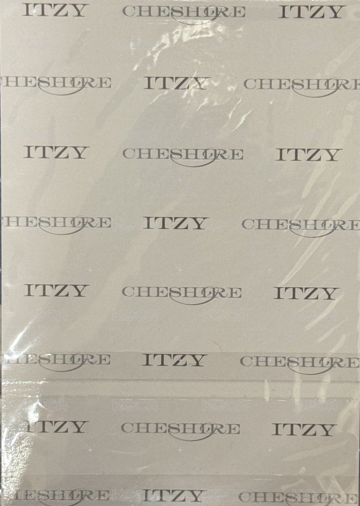 CHESHIRE sw 特典卡  背面