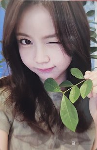 單一 ma 6.0 簽售卡 