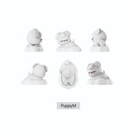 3rd 世巡 夜燈 首爾場周