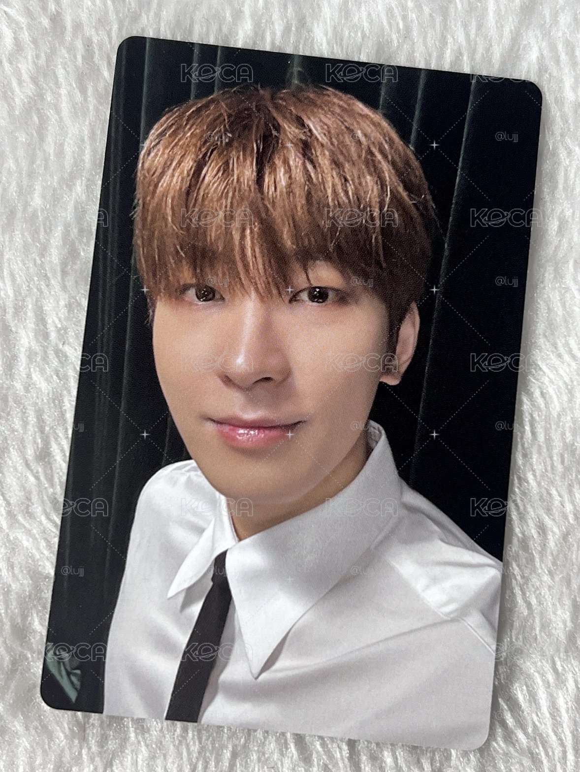 Wonwoo 回憶錄小卡
