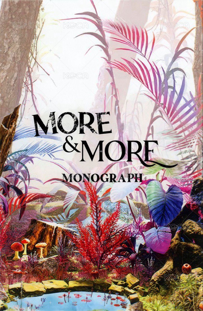 MORE & MORE 周邊卡 TWICE 娜璉 花絮小卡 背面