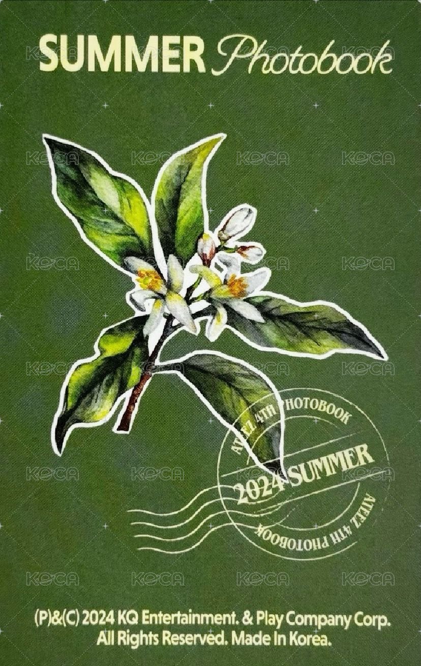 2024夏寫 k4 特典卡  背面