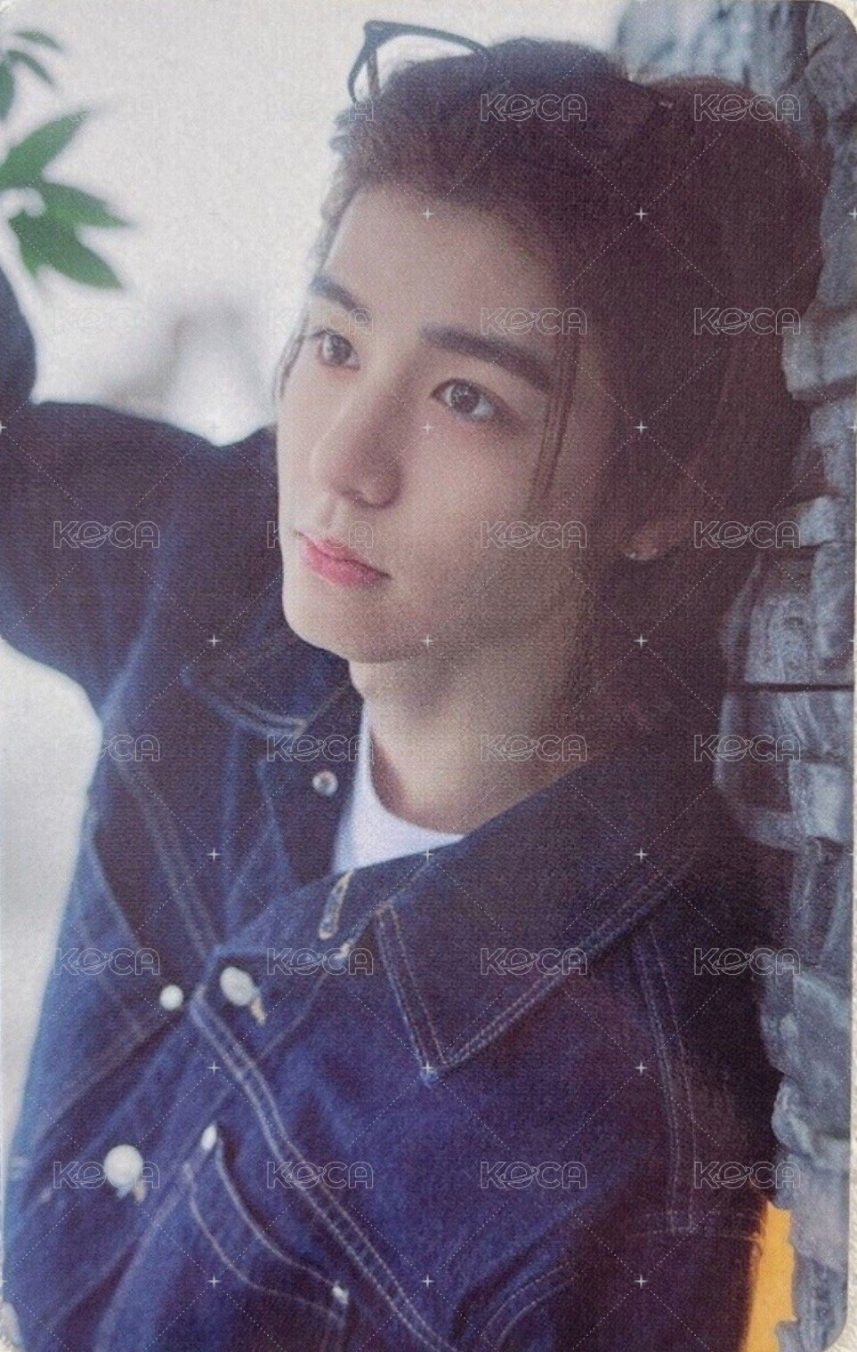 AND, 日咖 特典卡  正面