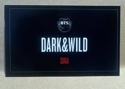 防彈少年團 DARK&WILD-玧其