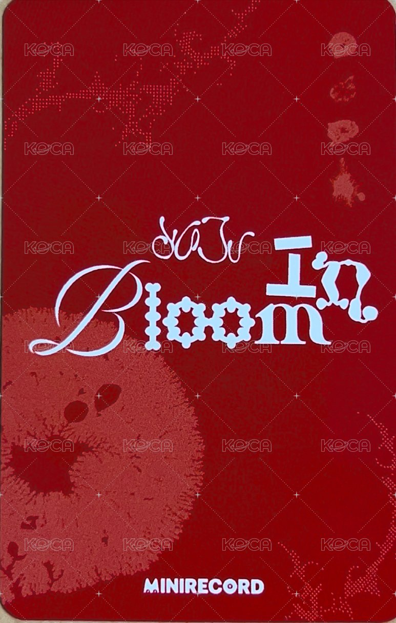 In Bloom MINIRECORD 線上1.0 特典卡  背面