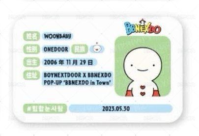 身分證卡套[WOONBABY] 北京限定