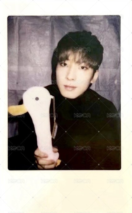 17’克拉島 周邊卡 拍立得 正面