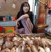 狐瓜瓜